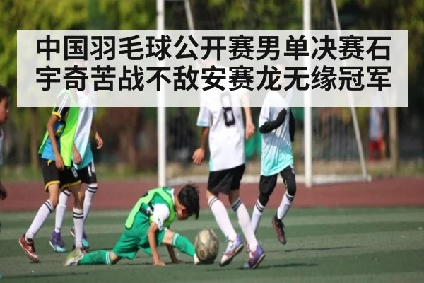 中国羽毛球公开赛男单决赛石宇奇苦战不敌安赛龙无缘冠军 - MG Sports